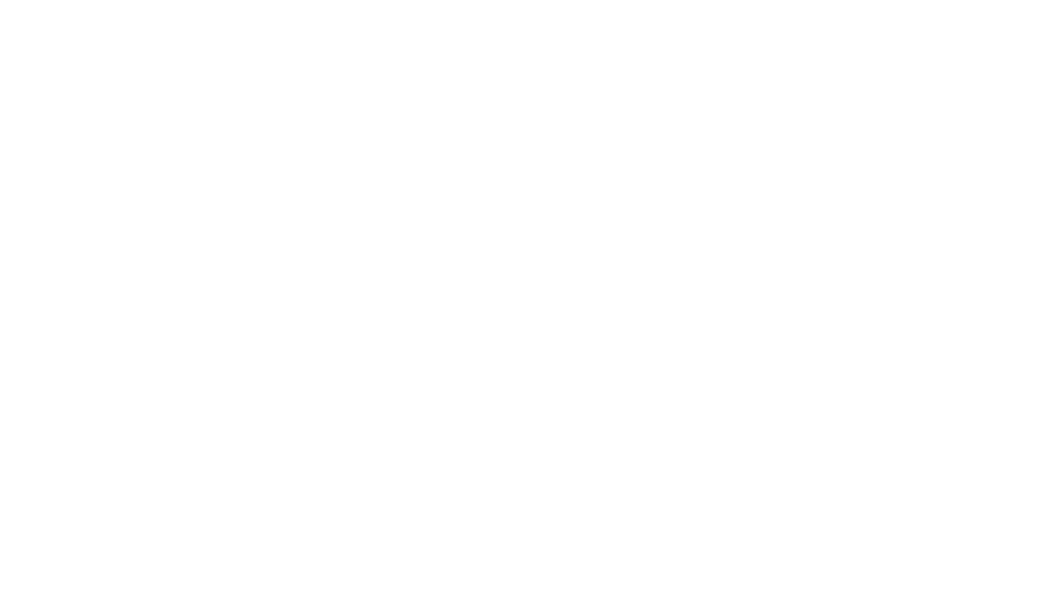 Logo MICRONETDATA